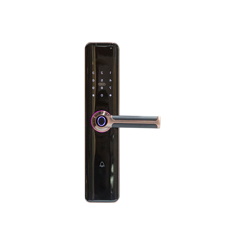 DM6A7735Electronic Lock with Bell Handle and Fingerprint