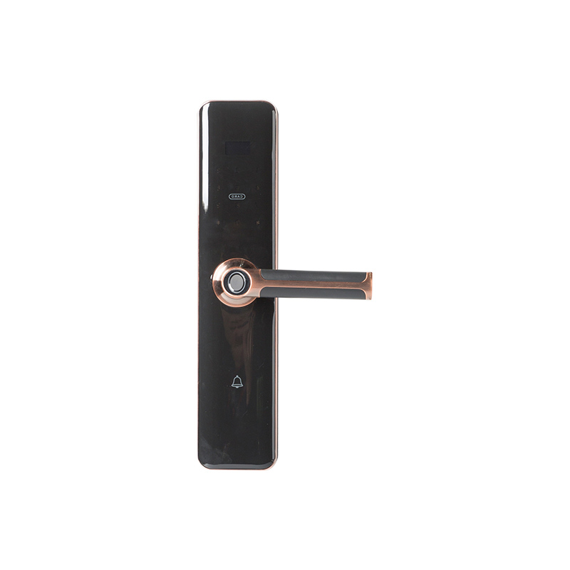 DM6A7735 Smart Electronic Lock