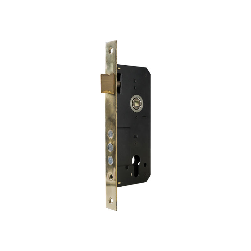 9020-3 Flush HandleLock and Inner Door lock